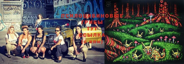 apvp Лихославль